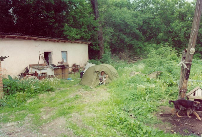 029 Tenting in a cafe backyard